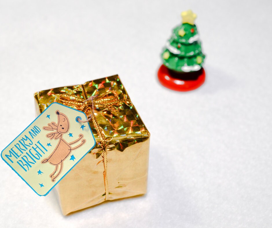 Christmas Present Reindeer Gift Tags, Set of 6, 12, 18 or 24