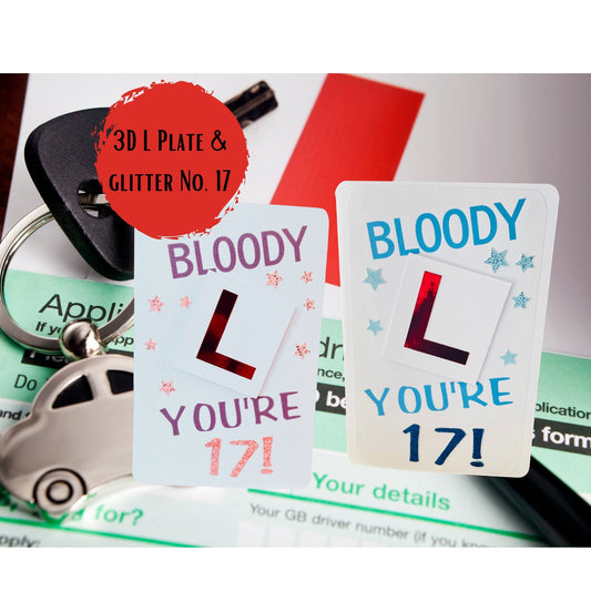 Happy 17th Birthday Celebration Card for Son Learning to Drive